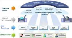 Global Software de gestión de API Mercado