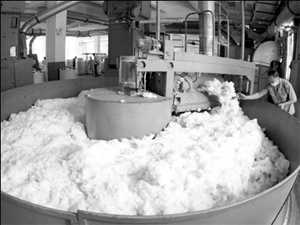 Baumwollverarbeitung