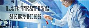 Global-Laboratory-Testing-Services-Market