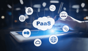 Globaler Plattform als Service (PaaS)-Markt