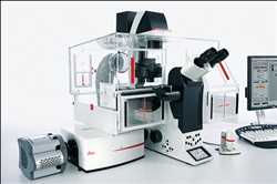 Global Microscopios confocales de disco giratorio Mercado